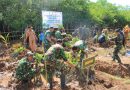 Kodim 0806/Trenggalek dan Pemkab Tanam 1.500 Mangrove di Watulimo Untuk Gegah Abrasi
