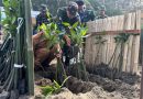 TNI Peduli Lingkungan, Dandim Tulungagung Pimpin Penanaman Mangrove di Cemoro Sewu Sine