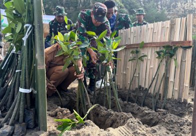 TNI Peduli Lingkungan, Dandim Tulungagung Pimpin Penanaman Mangrove di Cemoro Sewu Sine