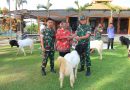 Kodim 0806/Trenggalek Distribusikan 7 Kambing Kurban untuk Panti Asuhan dan Ponpes