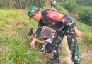 Babinsa Desa Plosokandang Dampingi Penanaman 500 Pohon Peringati Hari Lingkungan Hidup Sedunia 2026