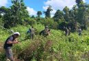 Babinsa Koramil Mapurujaya Bersama Warga Bersihkan TPU Kampung Hiripau