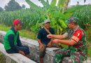 Kisah Babinsa yang Hadirkan Solusi Lewat Sapaan Sederhana Kisah Babinsa yang Hadirkan Solusi Lewat Sapaan Sederhana