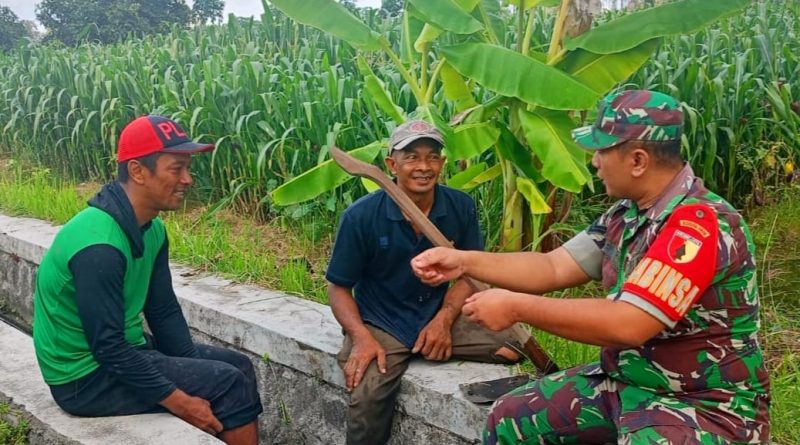 Kisah Babinsa yang Hadirkan Solusi Lewat Sapaan Sederhana Kisah Babinsa yang Hadirkan Solusi Lewat Sapaan Sederhana
