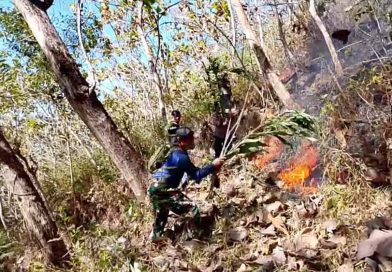 TNI-Polri dan BPBD Trenggalek Berhasil Padamkan Kebakaran Hutan Jati di Gandusari TNI-Polri dan BPBD Trenggalek Berhasil Padamkan Kebakaran Hutan Jati di Gandusari