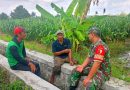 Kapenrem 081/DSJ: Pendampingan Babinsa Bentuk Kepedulian TNI AD