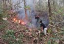 Tim Gabungan Padamkan Kebakaran Hutan di Trenggalek