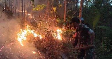 TNI-Polri-BPBD Padamkan Kebakaran Hutan 3,5 Hektare di Panggul TNI-Polri-BPBD Padamkan Kebakaran Hutan 3,5 Hektare di Panggul