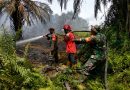 TNI Siagakan 66.510 Personel Tangani Karhutla di Seluruh Indonesia TNI Siagakan 66.510 Personel Tangani Karhutla di Seluruh Indonesia