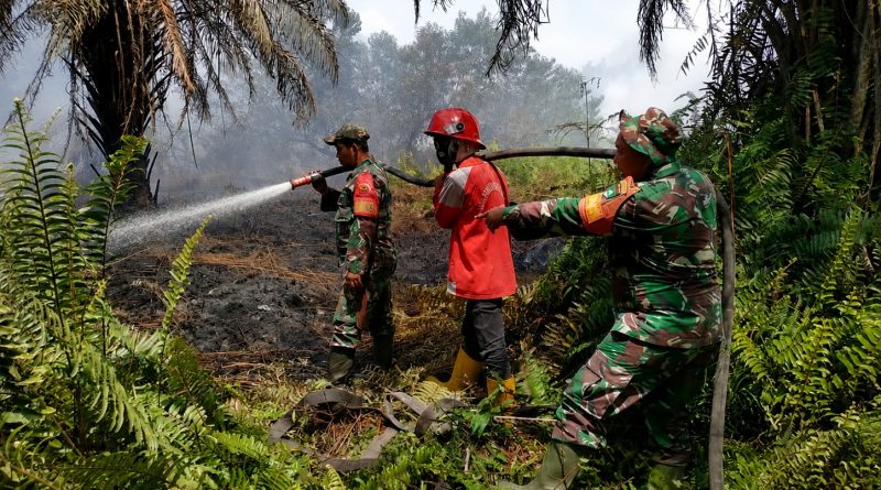 TNI Siagakan 66.510 Personel Tangani Karhutla di Seluruh Indonesia