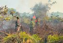 Prajurit Yonif 18 Marinir Bantu Padamkan Kebakaran Hutan Prajurit Yonif 18 Marinir Bantu Padamkan Kebakaran Hutan
