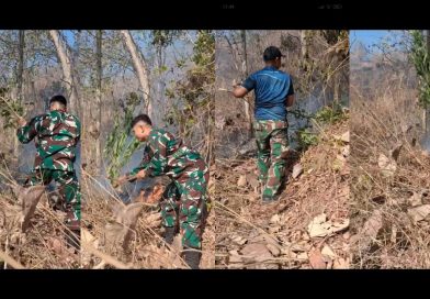 Danramil Boyolangu dan Anggota Bersama PMK dan Warga Padamkan Kebakaran Lahan di Perbatasan Wajak Kidul-Sanggrahan Danramil Boyolangu dan Anggota Bersama PMK dan Warga Padamkan Kebakaran Lahan di Perbatasan Wajak Kidul-Sanggrahan