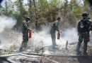 TNI Percepat Penanganan Karhutla Way Kambas, Tim Alfa Diterjunkan dari Udara