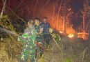 Babinsa Bersama Yon TP dan Warga Padamkan Kebakaran Lahan di Gunung Krandegan