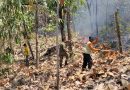 Babinsa Kodim Ponorogo dan Unsur Terkait Gerak Cepat Padamkan Kebakaran Hutan