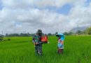 Babinsa Desa Talunkulon Dampingi Petani, Perkuat Ketahanan Pangan Nasional
