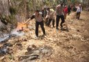 Ada Hutan Desa Binaan Terbakar, Babinsa Kodim Ponorogo Terjun Atasi