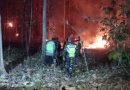 Gerak Cepat Babinsa Kodim Ponorogo dan Unsur Terkait Atasi Kebakaran di Pekarangan Warga