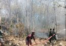 Gerak Cepat Babinsa Bersama Yonif TP 886/PJY Padamkan Kebakaran Lahan di Banyuurip