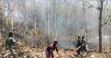 Gerak Cepat Babinsa Bersama Yonif TP 886/PJY Padamkan Kebakaran Lahan di Banyuurip Gerak Cepat Babinsa Bersama Yonif TP 886/PJY Padamkan Kebakaran Lahan di Banyuurip