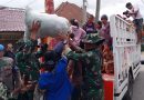 Aksi Cepat TNI Respons Meningkatnya Aktivitas Gunung Sinabung