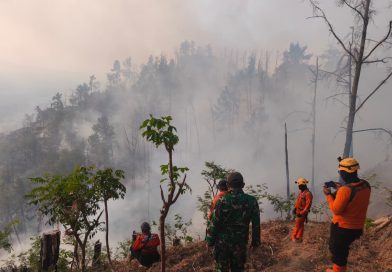 Hutan di Wilayah Binaan Terbakar, Babinsa Kodim Ponorogo dan Unsur Terkait Lakukan Pemadaman