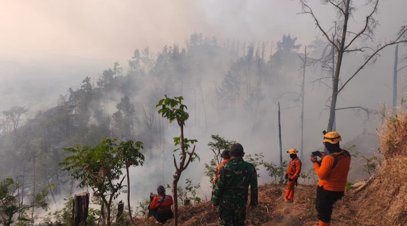 Hutan di Wilayah Binaan Terbakar, Babinsa Kodim Ponorogo dan Unsur Terkait Lakukan Pemadaman