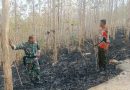 Cegah Kebakaran Meluas, Babinsa dan Perhutani Padamkan Api di Sekitar Hutan Jati Pucangan