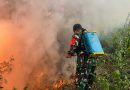 Prajurit TNI dan Warga Berjibaku di Tengah Kepungan Api Hutan Ngrayun