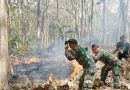 Gerak Cepat TNI, Perhutani dan Warga Padamkan Karhutla di Ngepoh, Api Berhasil Dikendalikan