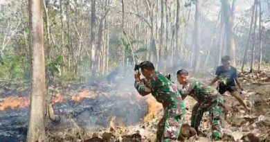 Gerak Cepat TNI, Perhutani dan Warga Padamkan Karhutla di Ngepoh, Api Berhasil Dikendalikan
