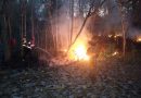 TNI-Polri Bersama Damkar dan Warga Padamkan Kebakaran Lahan Perhutani di Tiudan