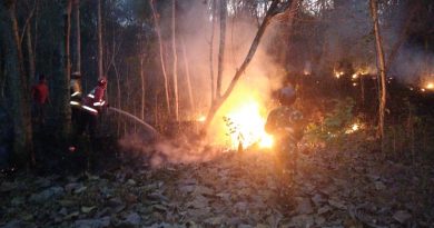 TNI-Polri Bersama Damkar dan Warga Padamkan Kebakaran Lahan Perhutani di Tiudan