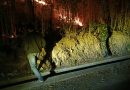 Cekatan, Babinsa Kodim Ponorogo Gerak Cepat Ikut Atasi Kebakaran Hutan