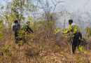 Hutan di Gunung Sadranan Kecamatan Slahung Terbakar, Babinsa Broto Bersama Komponen masyarakat Sigap Padamkan Api