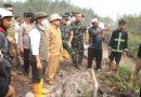 Danlanud Sjamsudin Noor Dampingi Menhut RI Tinjau Hutan Lindung Liang Anggang, Perkuat Sinergi Penanganan Karhutla