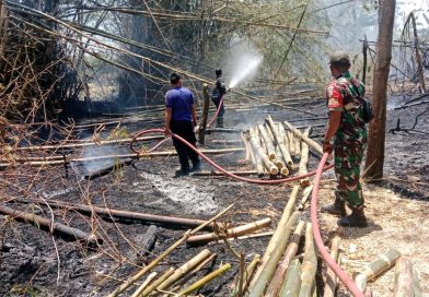 Berkat Kerjasama dan Gotong Royong, Kebakaran Rumpun Bambu di Wilayah Desa Binaan Dipadamkan Babinsa dan Unsur Terkait