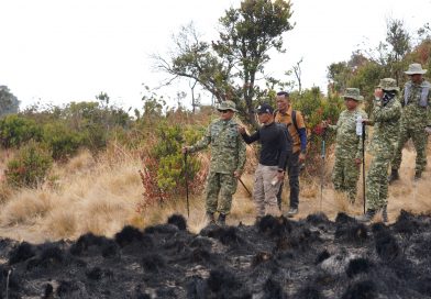 Jalan Kaki 12 Jam Susuri Gunung Lawu, Danrem Erwin Perkuat Mitigasi Karhutla Jalan Kaki 12 Jam Susuri Gunung Lawu, Danrem Erwin Perkuat Mitigasi Karhutla