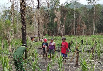 Berikan Penyuluhan Pertanian, Satgas TMMD ke-130 Dorong Kemandirian Pangan Warga Yamboi